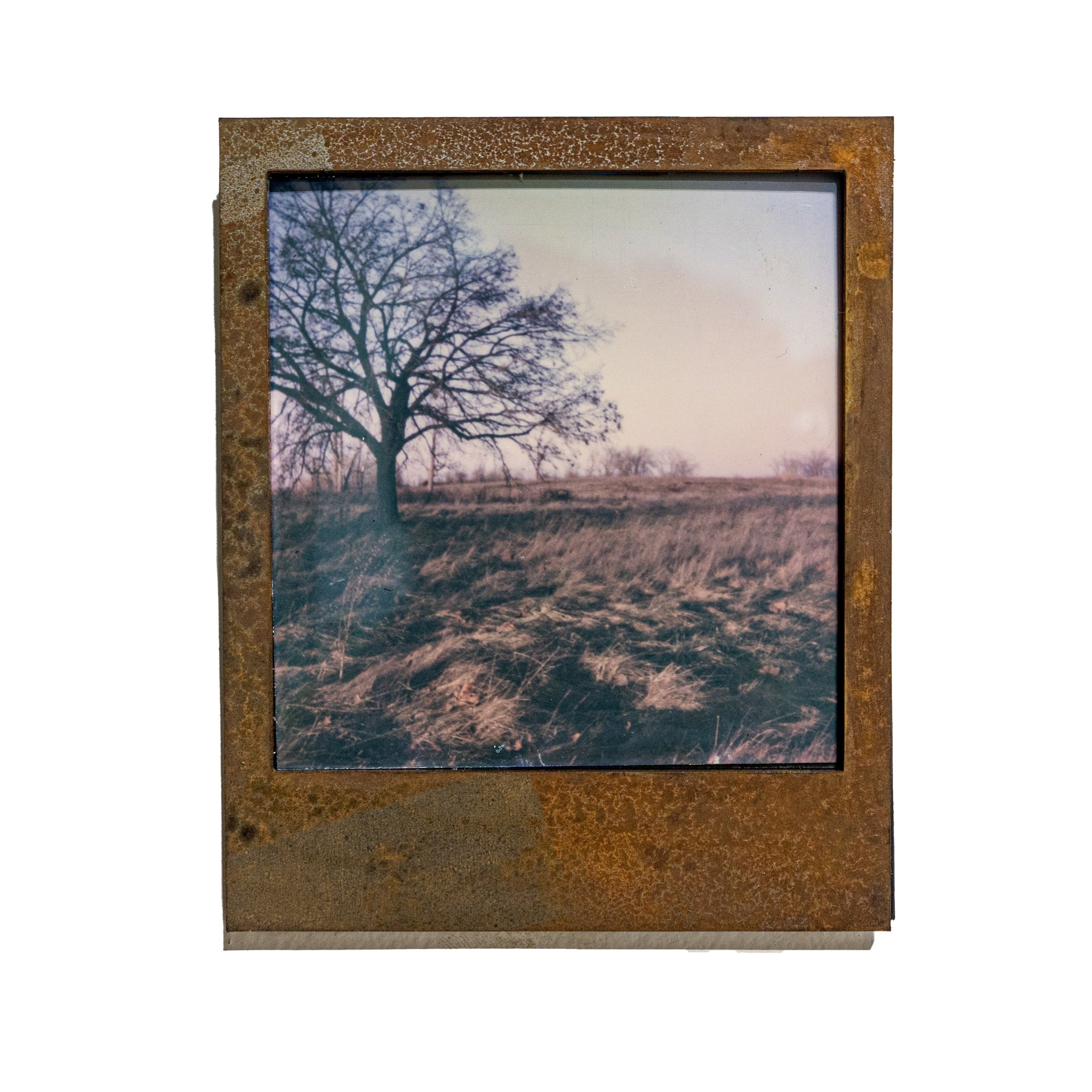 "Iron Copper Steel" Archival Polaroid Series (1-100)