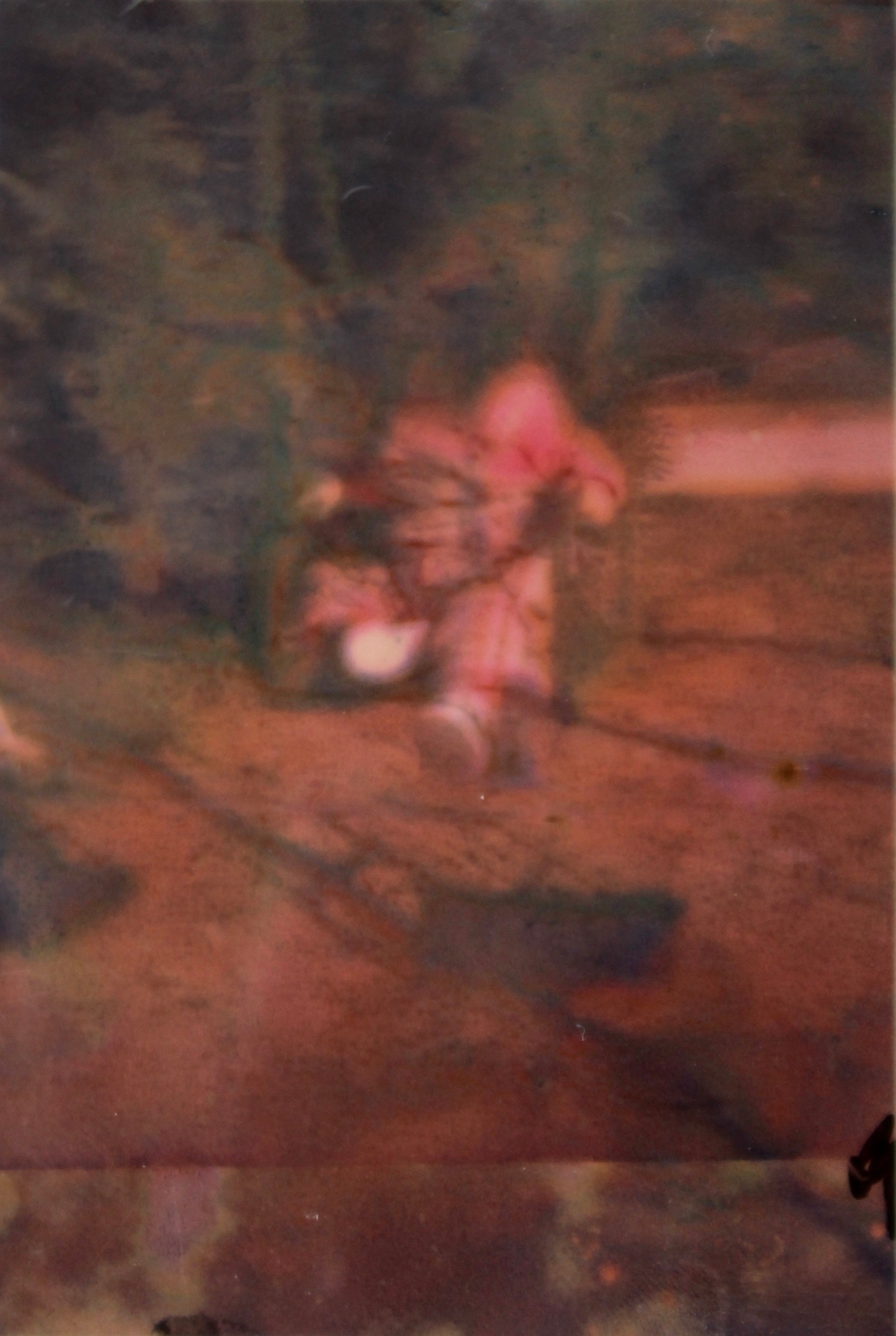 Summer Flew By I Wish You Would Have Been Here