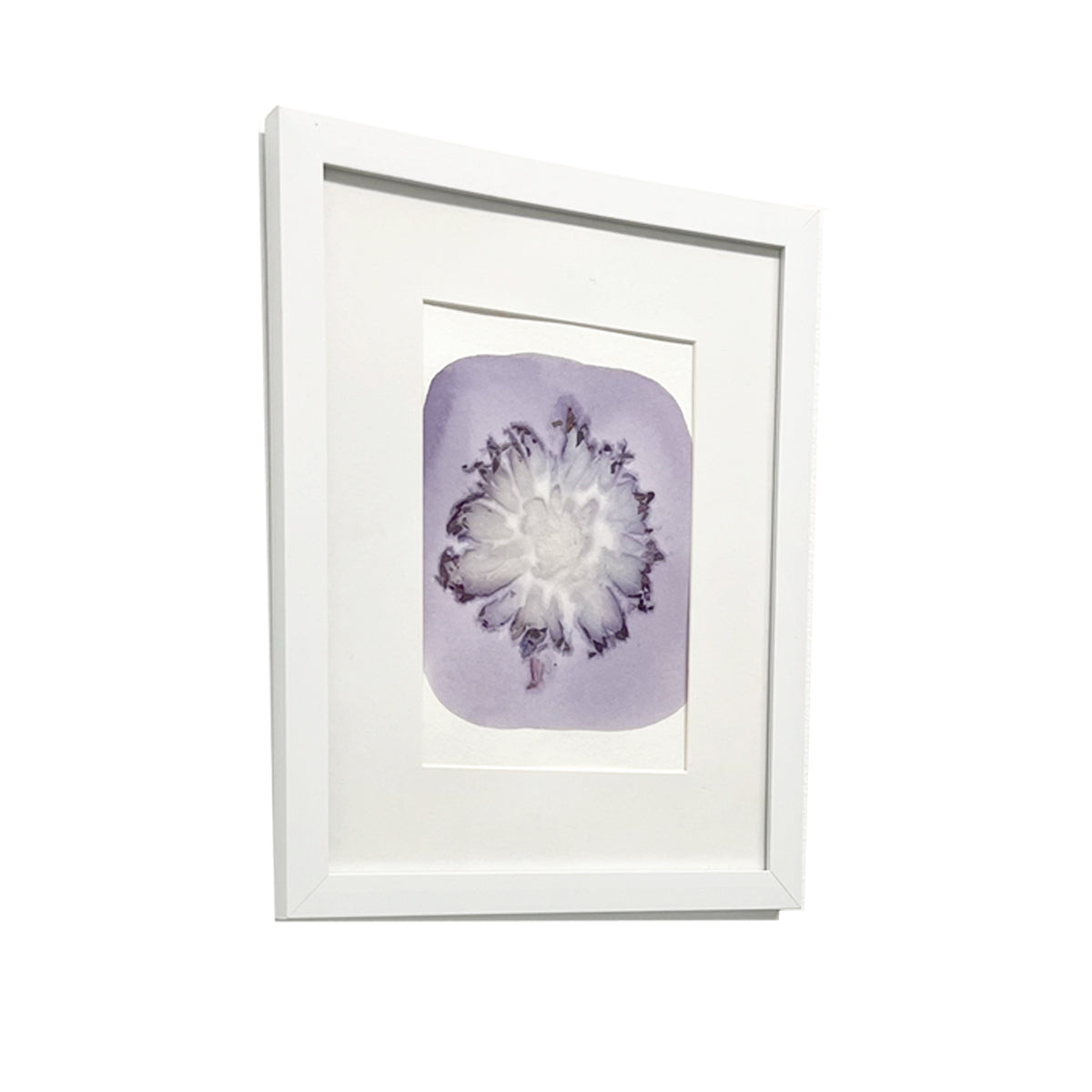 Two Views of Summer into Fall (II)