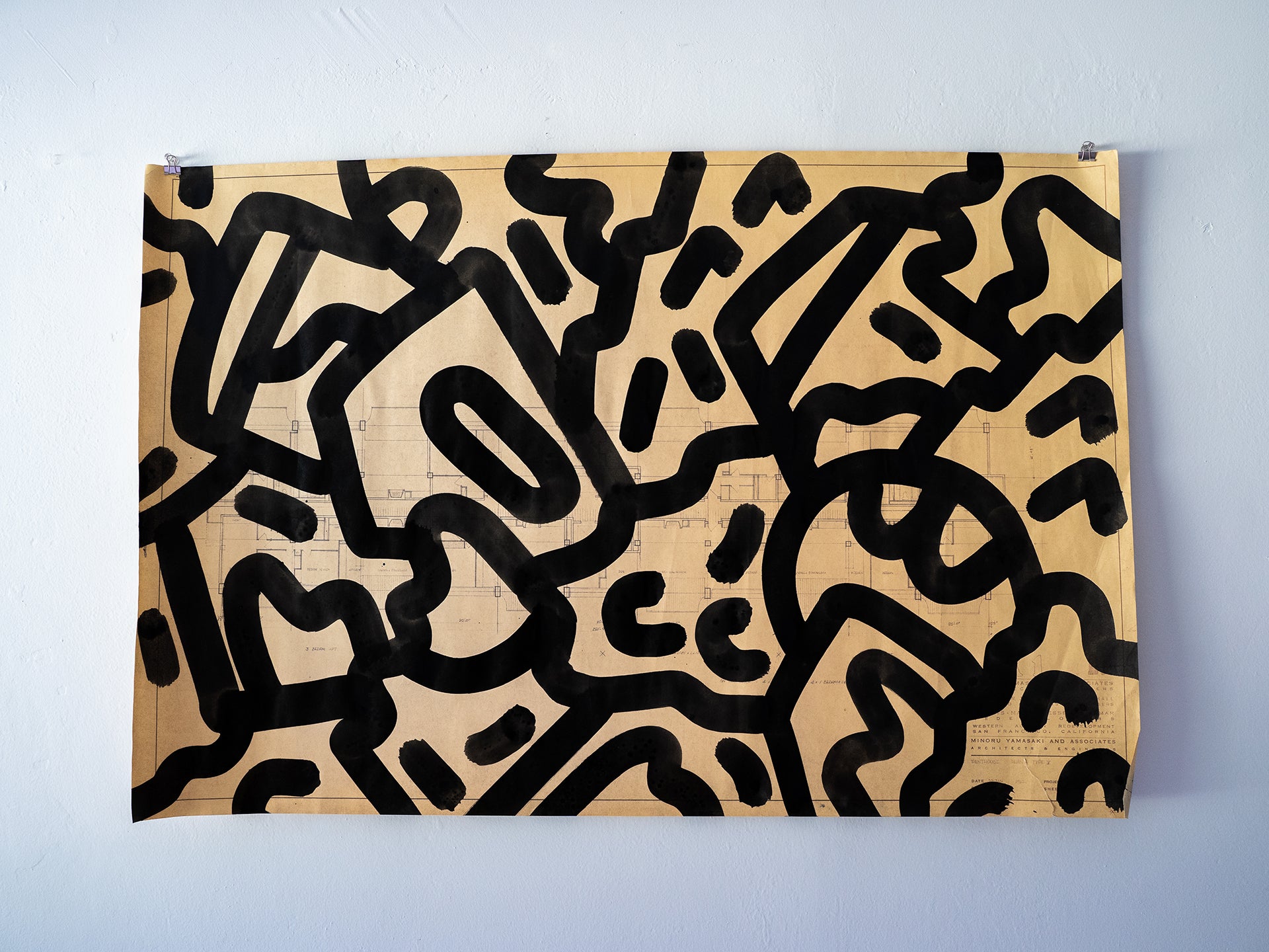 Modern Vandalism: Minoru Yamasaki, Jan 20