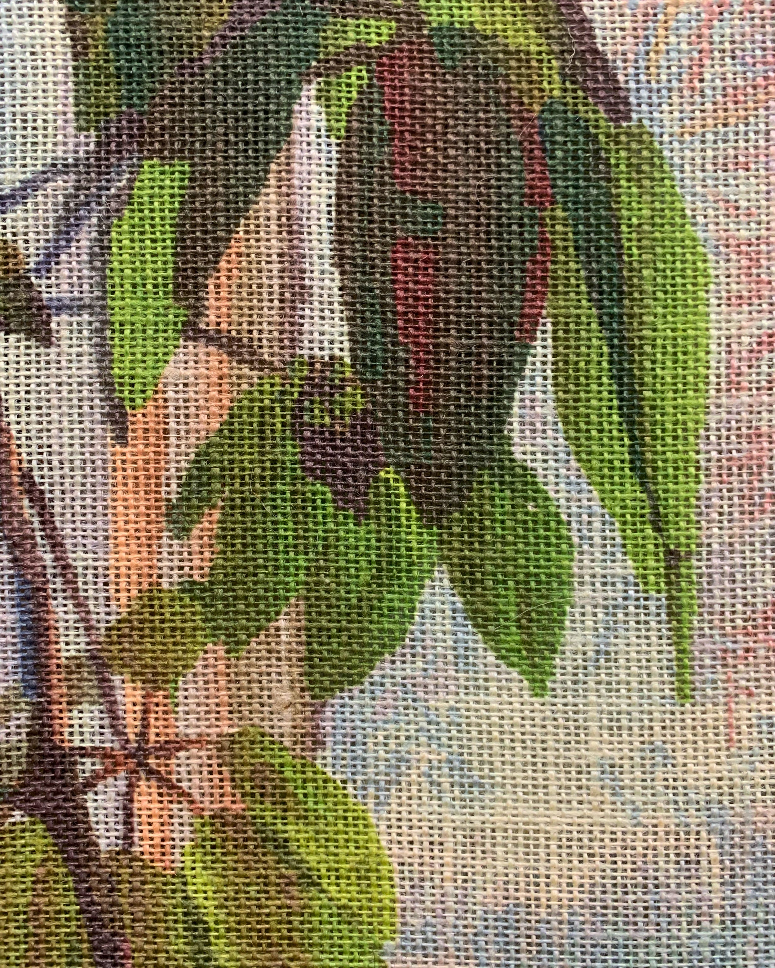 Schefflera at Golden Hour