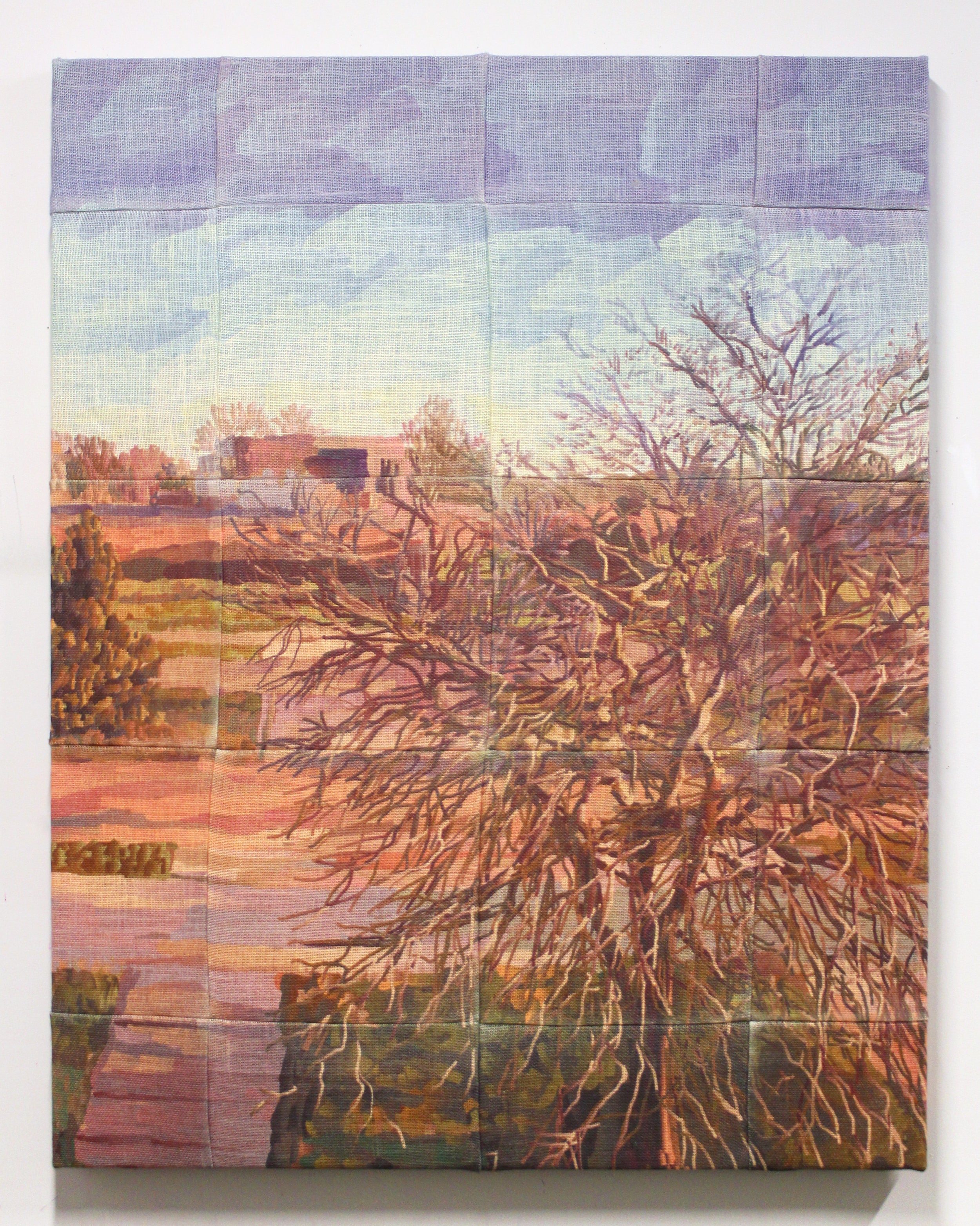 Sunlit Tree at Golden Hour