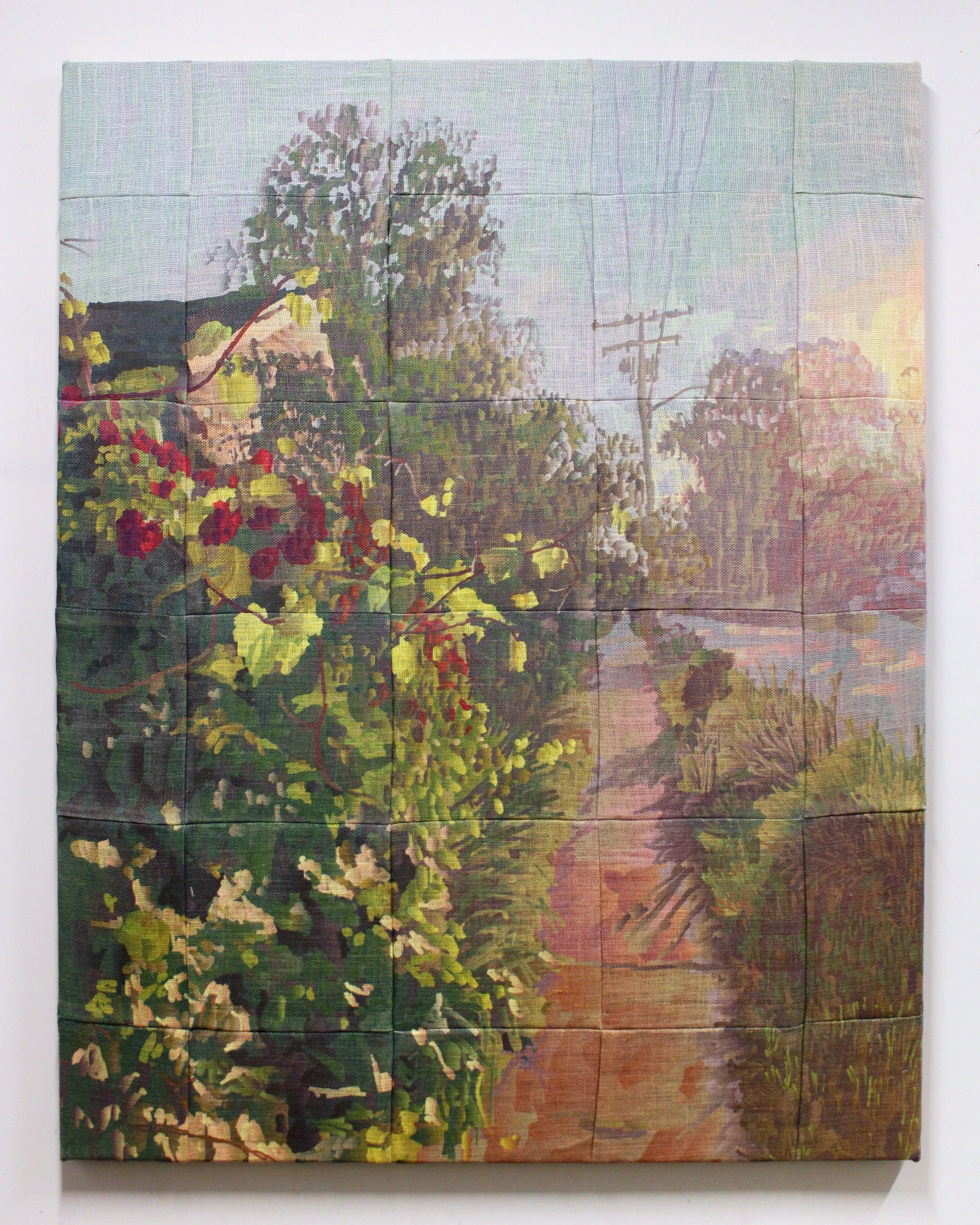 Trumpet Vine at Golden Hour