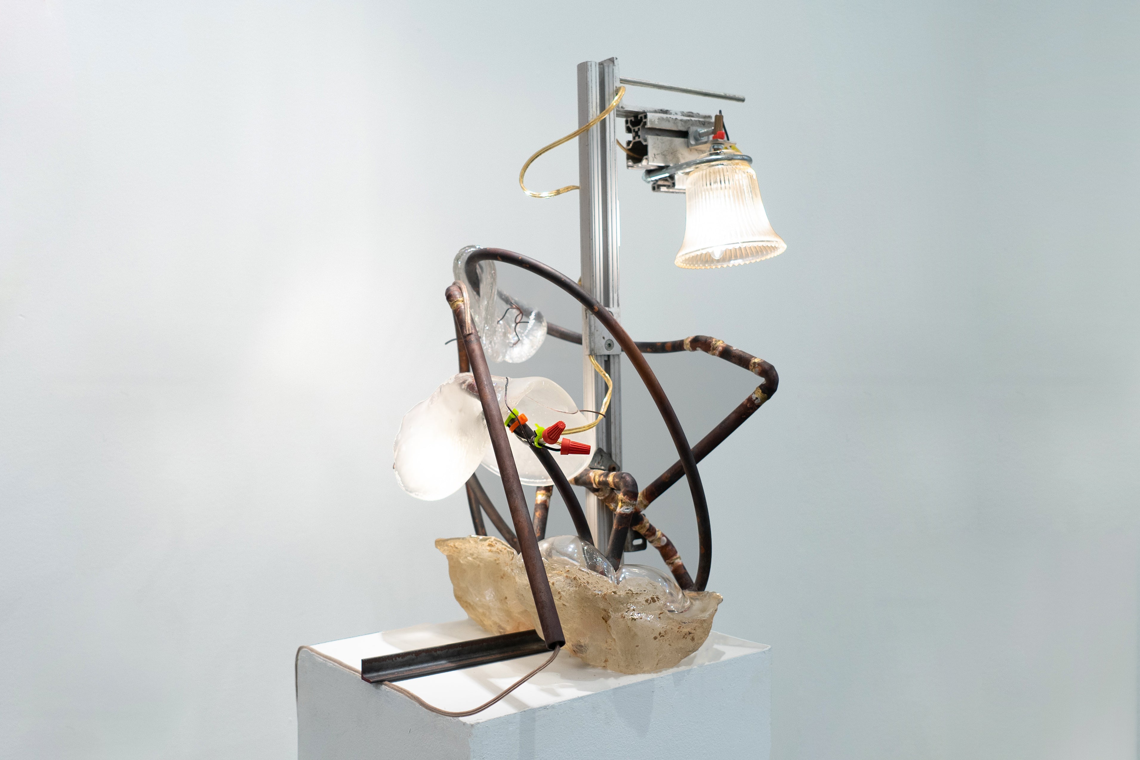 Grown in Unknown, Lamp