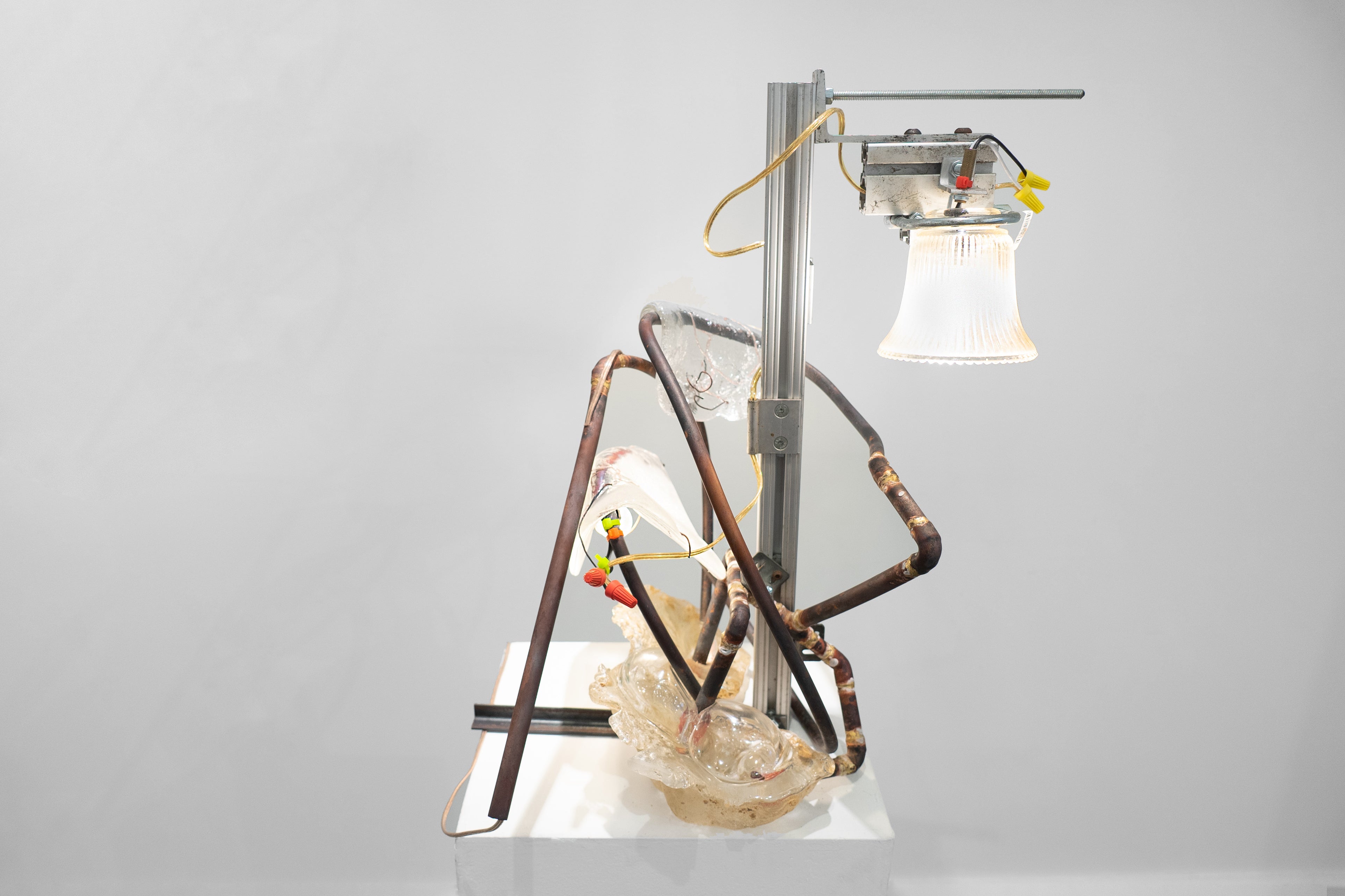 Grown in Unknown, Lamp