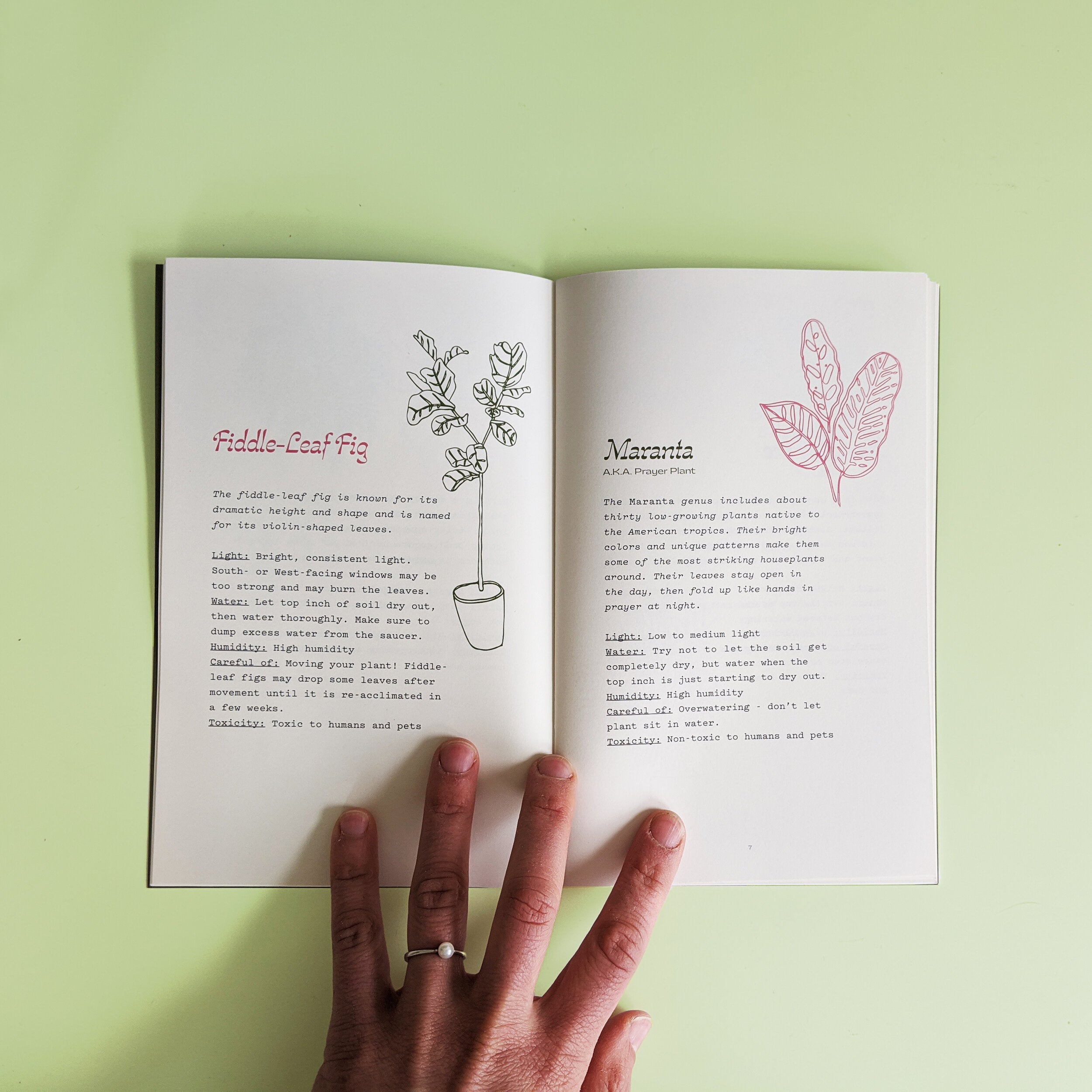 Houseplants for All by Maxine McCrann