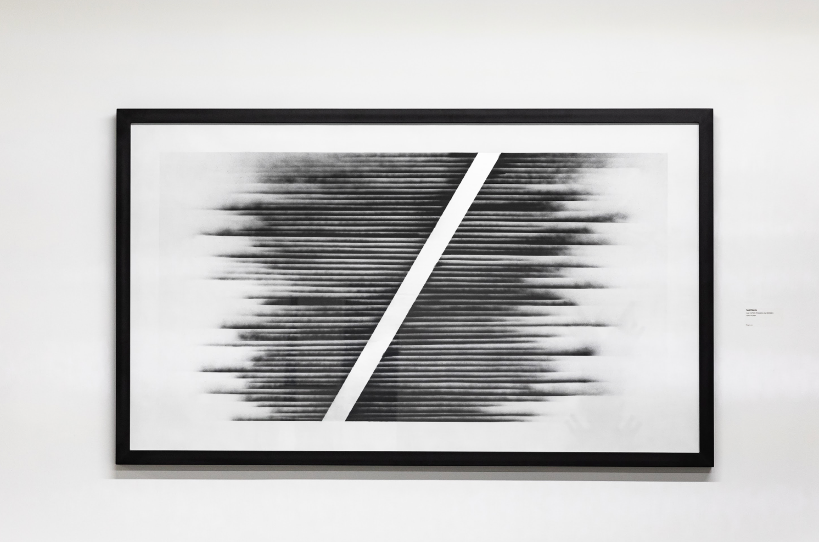 Low Carbon Emissions and Scented II