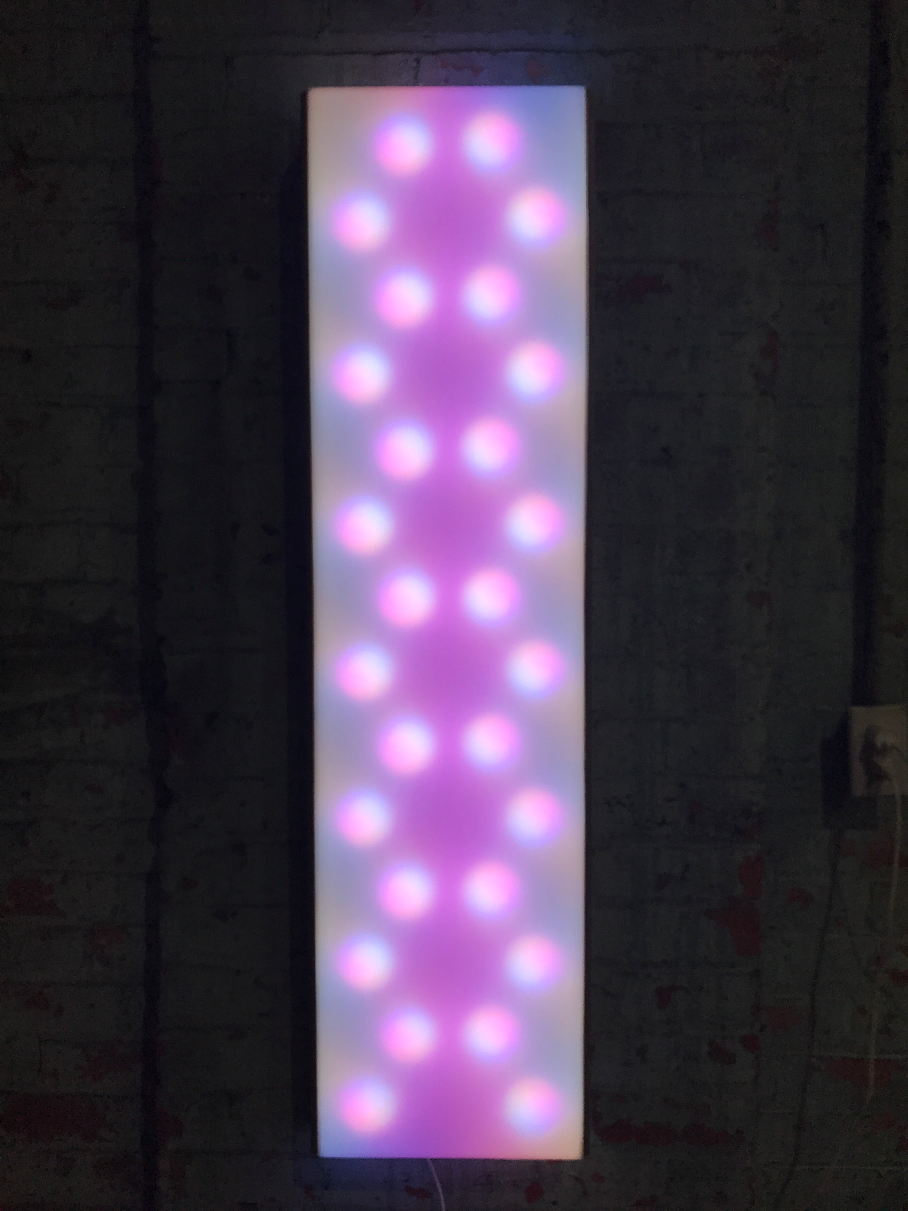 Technicolored Dreamcoat