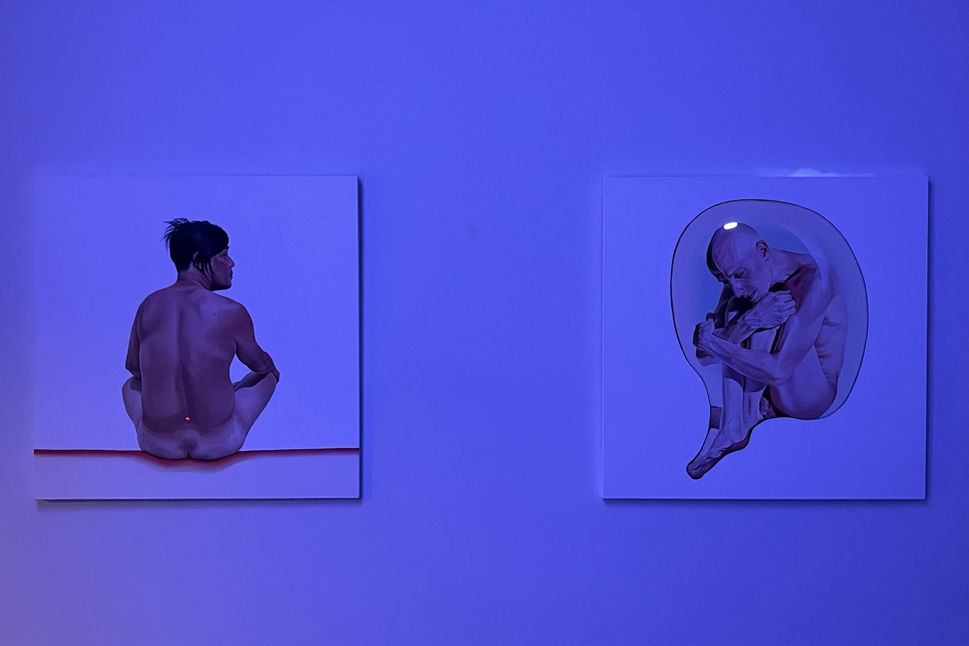 To Be at Home on The Earth